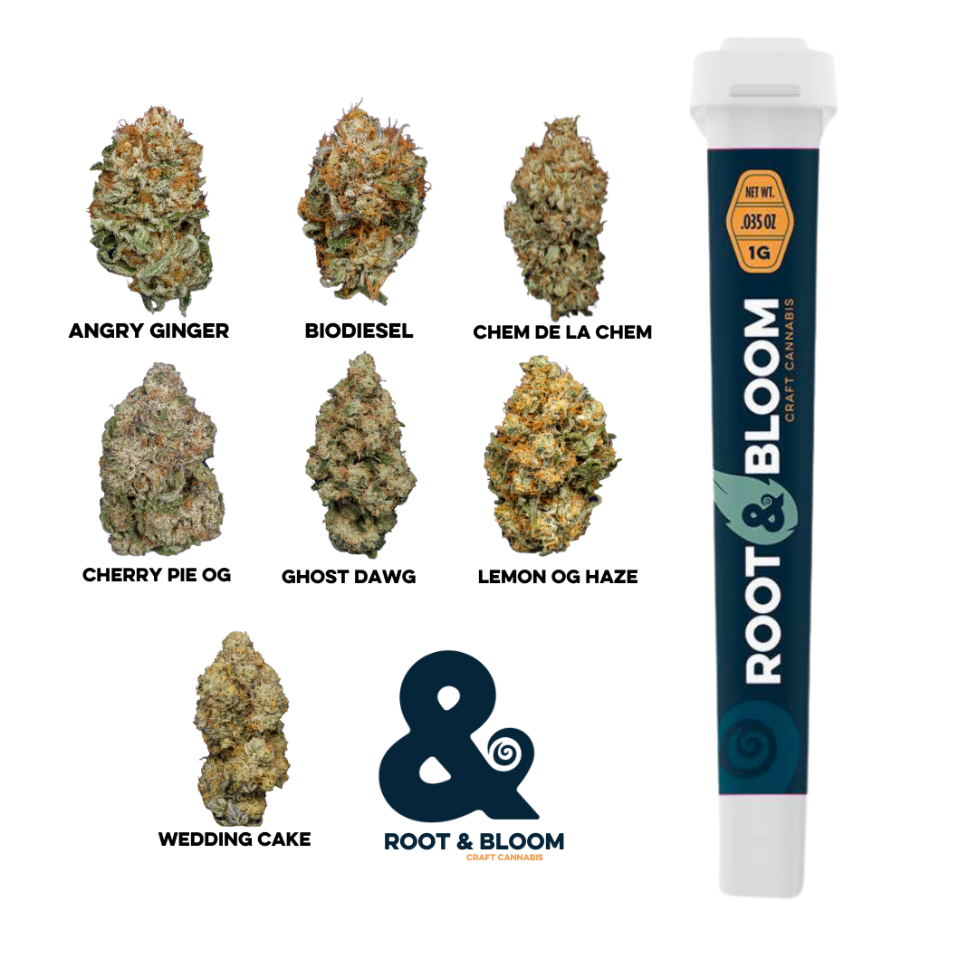 Photograph of product: Lemon OG Haze Preroll