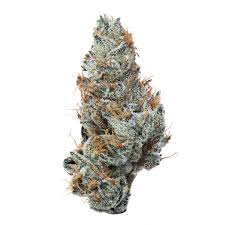 Photograph of product: Leafology Grapezilla 3.5g BALLER BUDS Oui'd Hybrid Flower