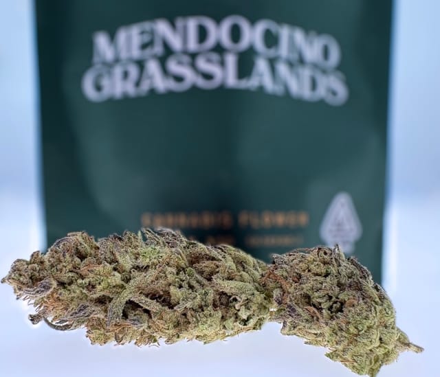 Photograph of product: Garlic Haze 14g Smalls - 