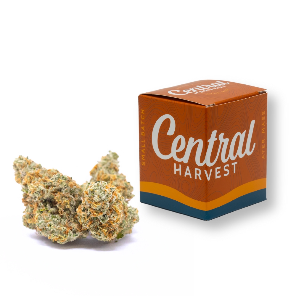 Photograph of product: Morockin' Kush (Oui'd) - Flower, 3.5g (1/8oz)