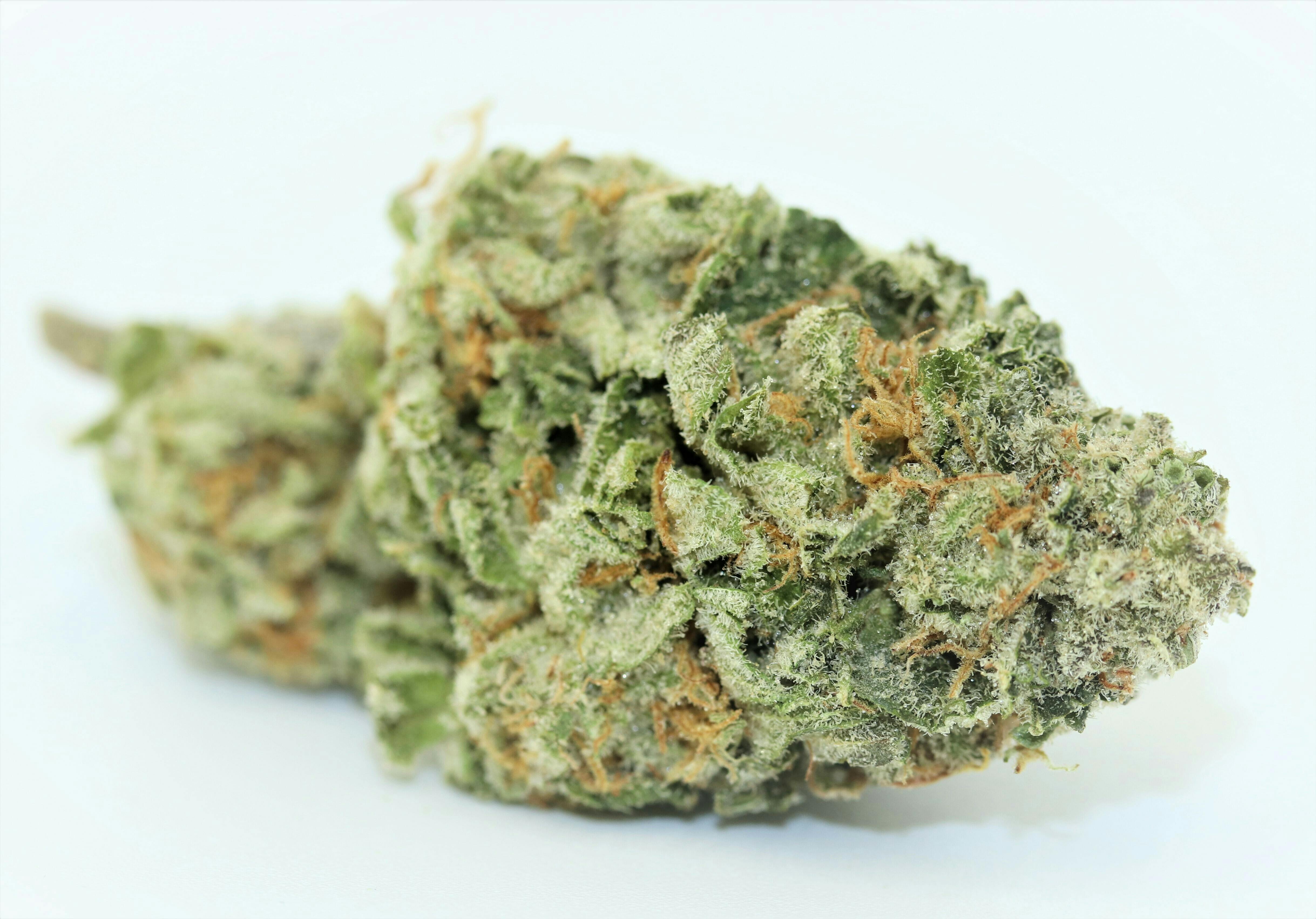 Photograph of product: Bigfoot Glue 1OZ