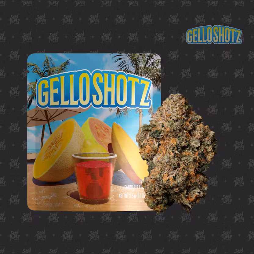Photograph of product: Gello Shotz Prepackaged - 3.5g