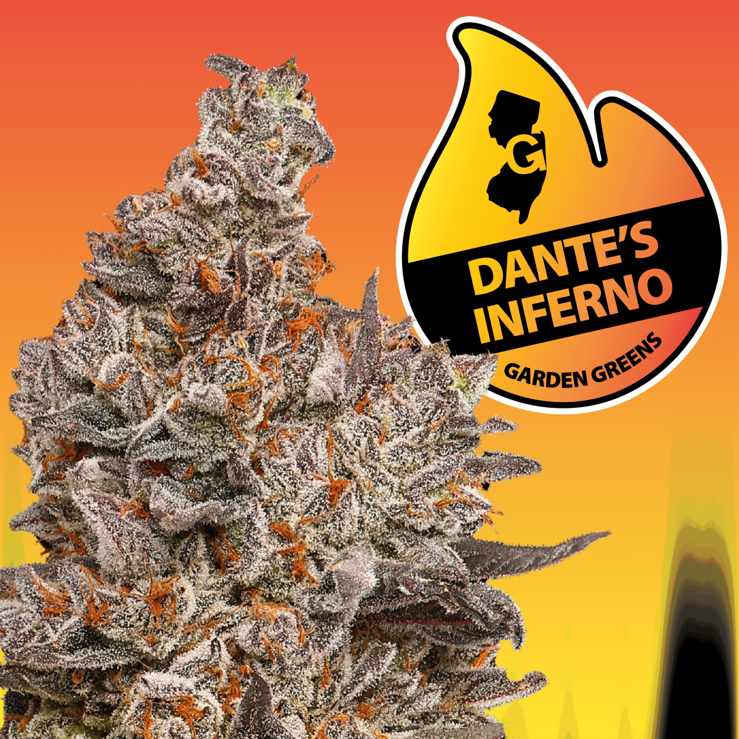 Photograph of product: Garden Greens | Flower | Dante's Inferno | 3.5g
