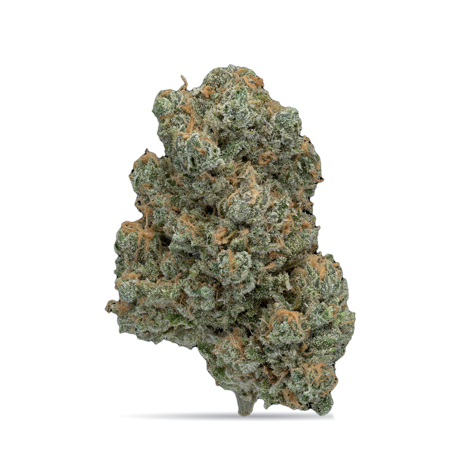 Photograph of product: Blue Dream | B-Buds - 28g