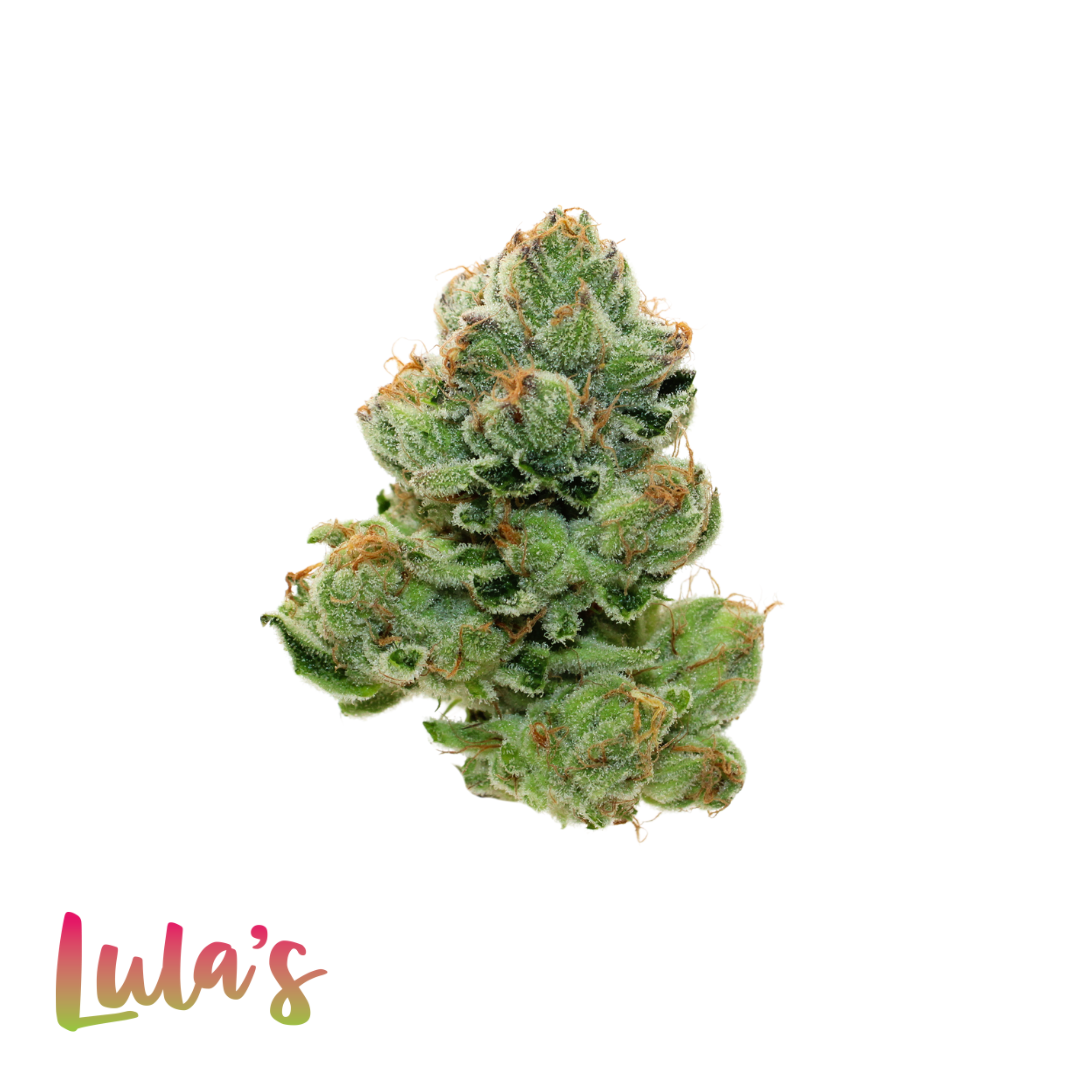 Photograph of product: BG Infused Preroll - Mint Biscuit 1g