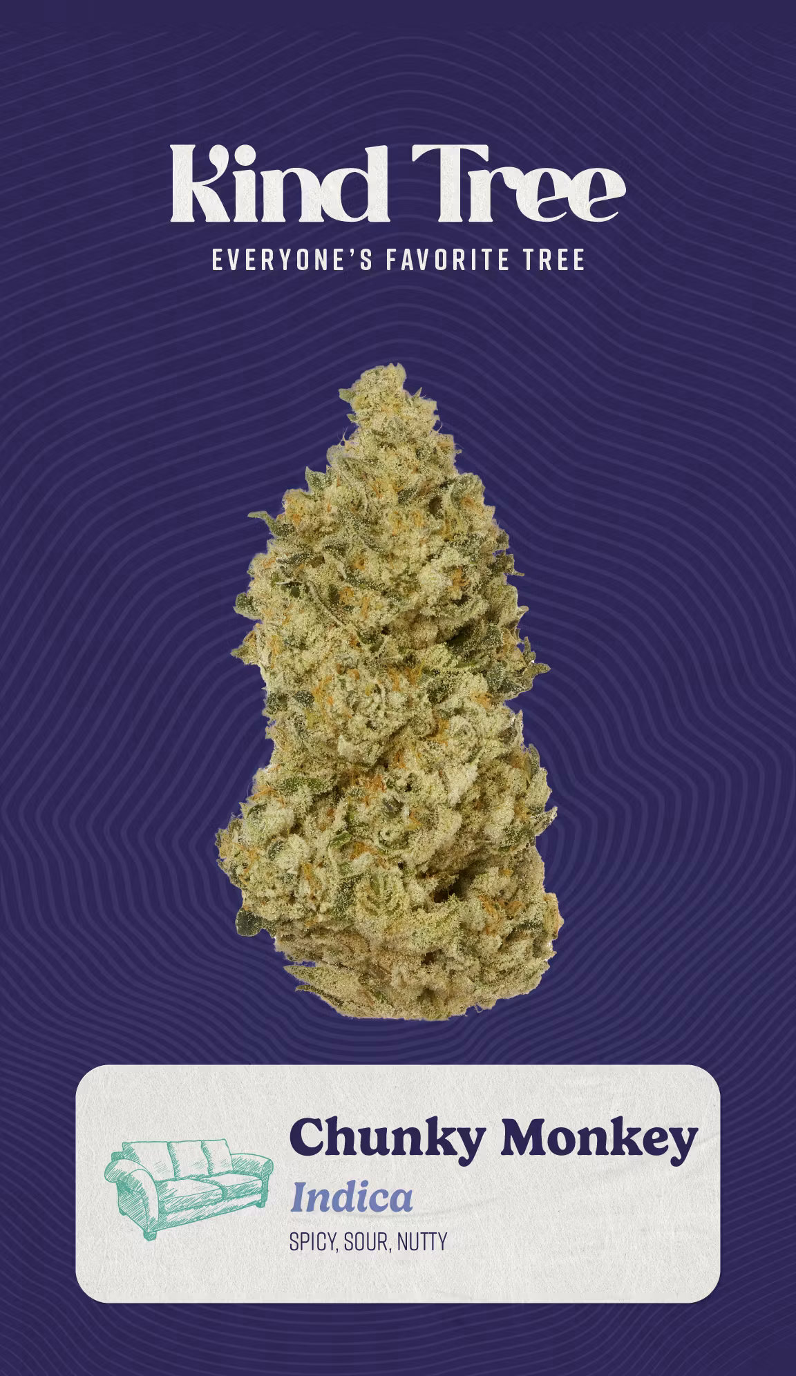 Photograph of product: Kind Tree - Chunky Monkey - 3.5g Flower