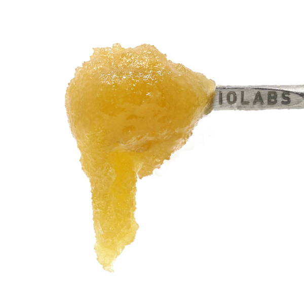 Photograph of product: 710 Labs - 1g Persy Sauce - Do Lato #10