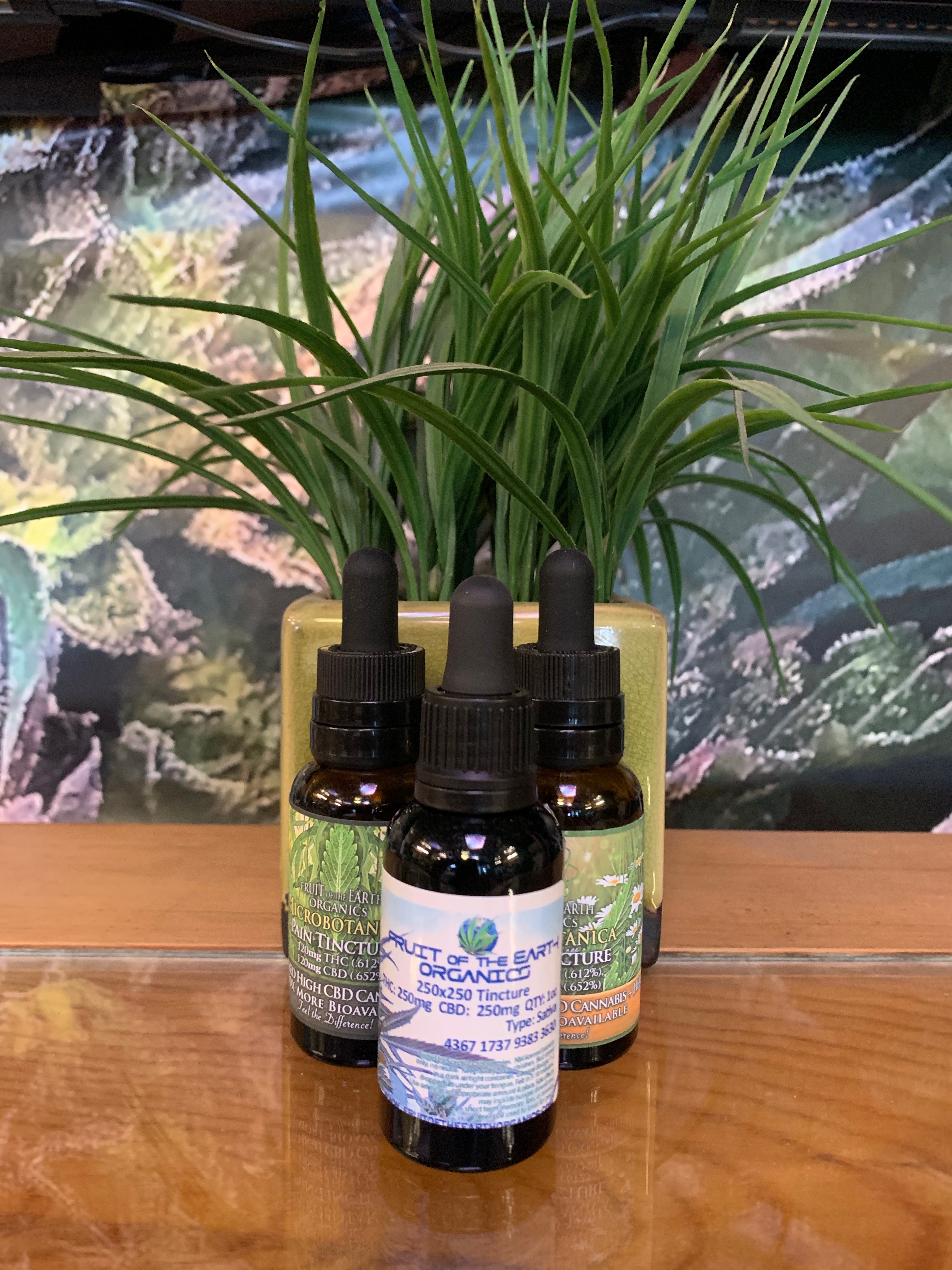 Photograph of product: TH-oui/CBD OIL TINCTURE 100MG TH-oui 100MG CBD (Oui'd)
