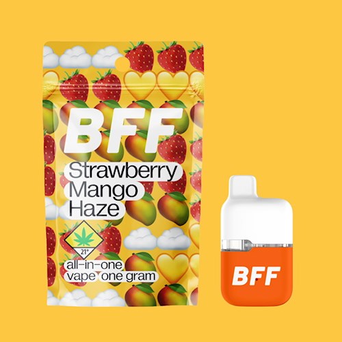 Photograph of product: Strawberry Mango Haze BFF Disposable | 1g (DOH)