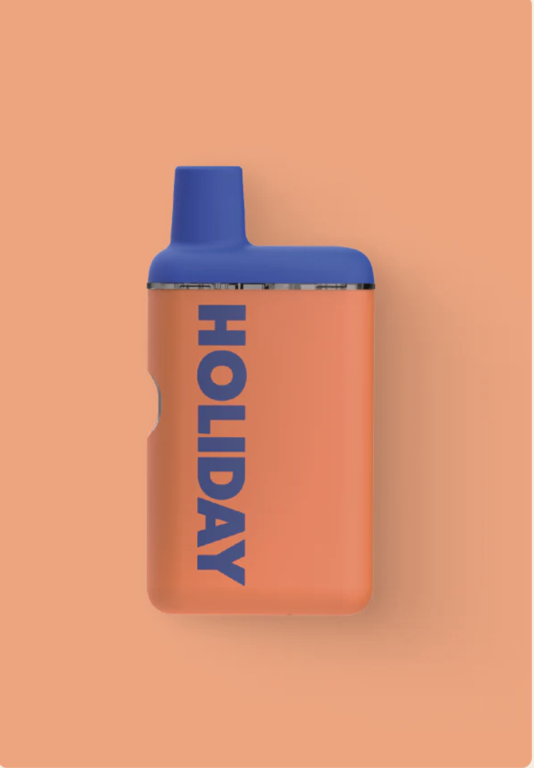 Photograph of product: Holiday | Leisure | 1g AIO Vape