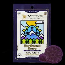 Photograph of product: 1:1:1 NW Berry | Sleepy Oui'd | Kicker | 100mg