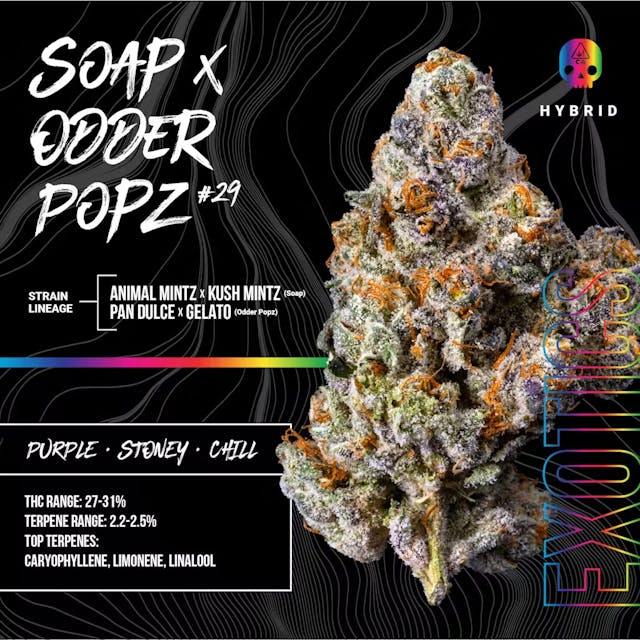 Photograph of product: Soap x Odder Popz #29 3.5G Jarred flw - 