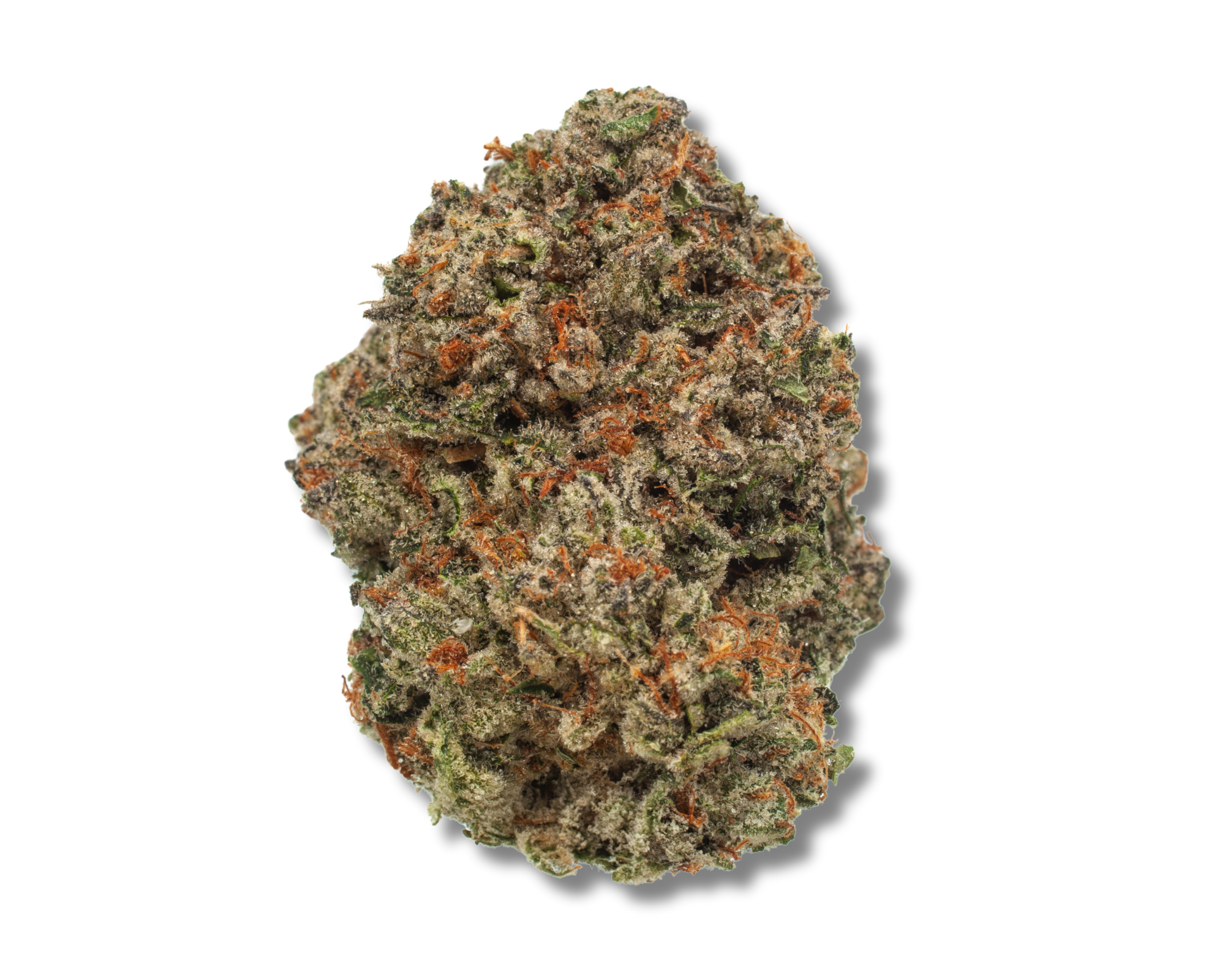 Photograph of product: Eager Beaver Strain | Flower 3.5g - Discover