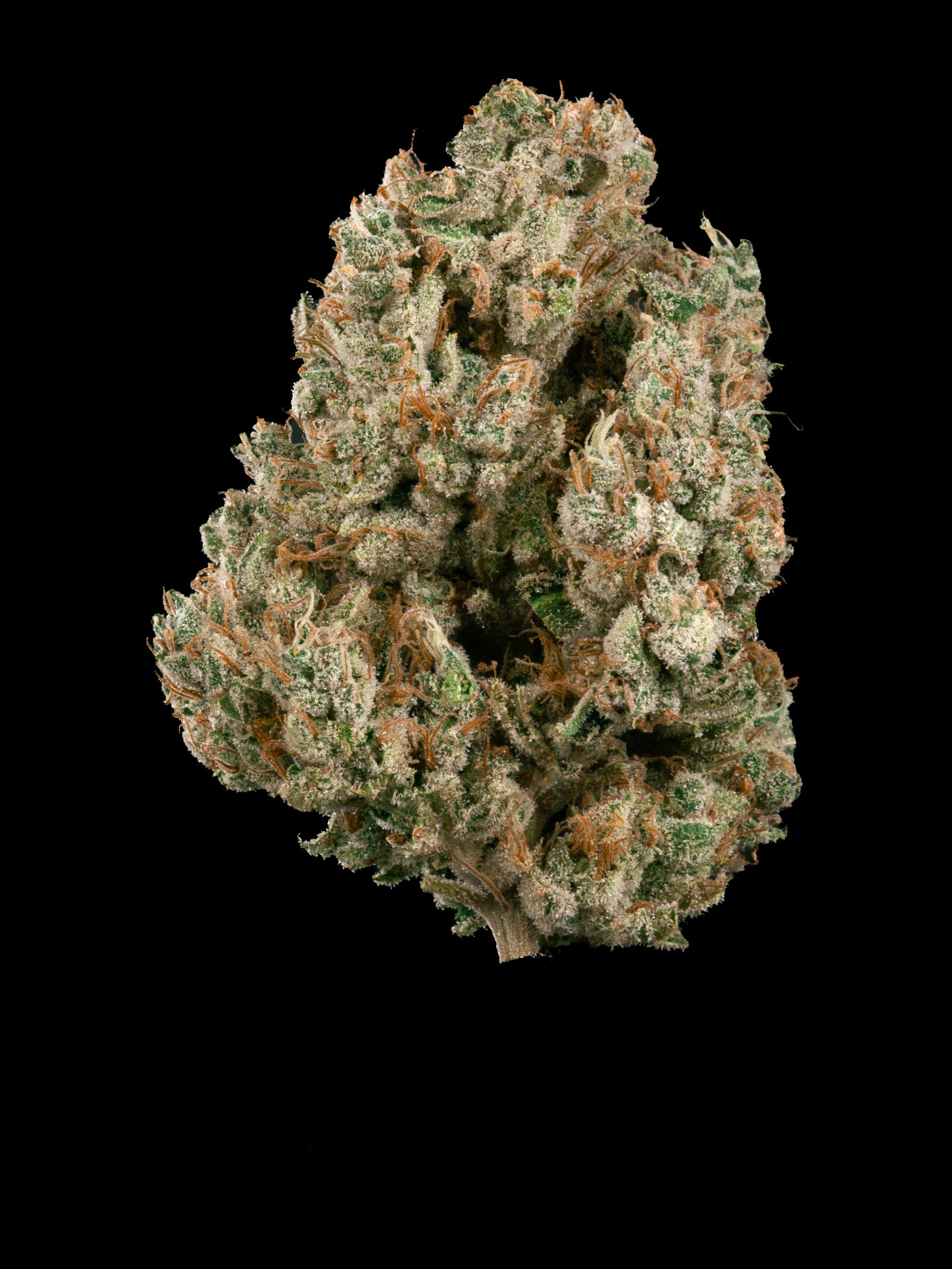 Photograph of product: Garden First Oui'd Donny Burger - 28g