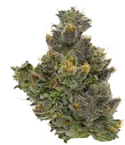 Photograph of product: Fig Farms - Fig & Cherry - Indoor - 3.5g