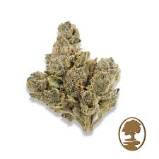 Photograph of product: Osage Creek Astro Glide 3.5g Oui'd Hybrid Flower