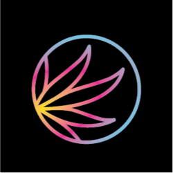 Photograph of product: Strawberry Pie | 1g Infused Preroll - 