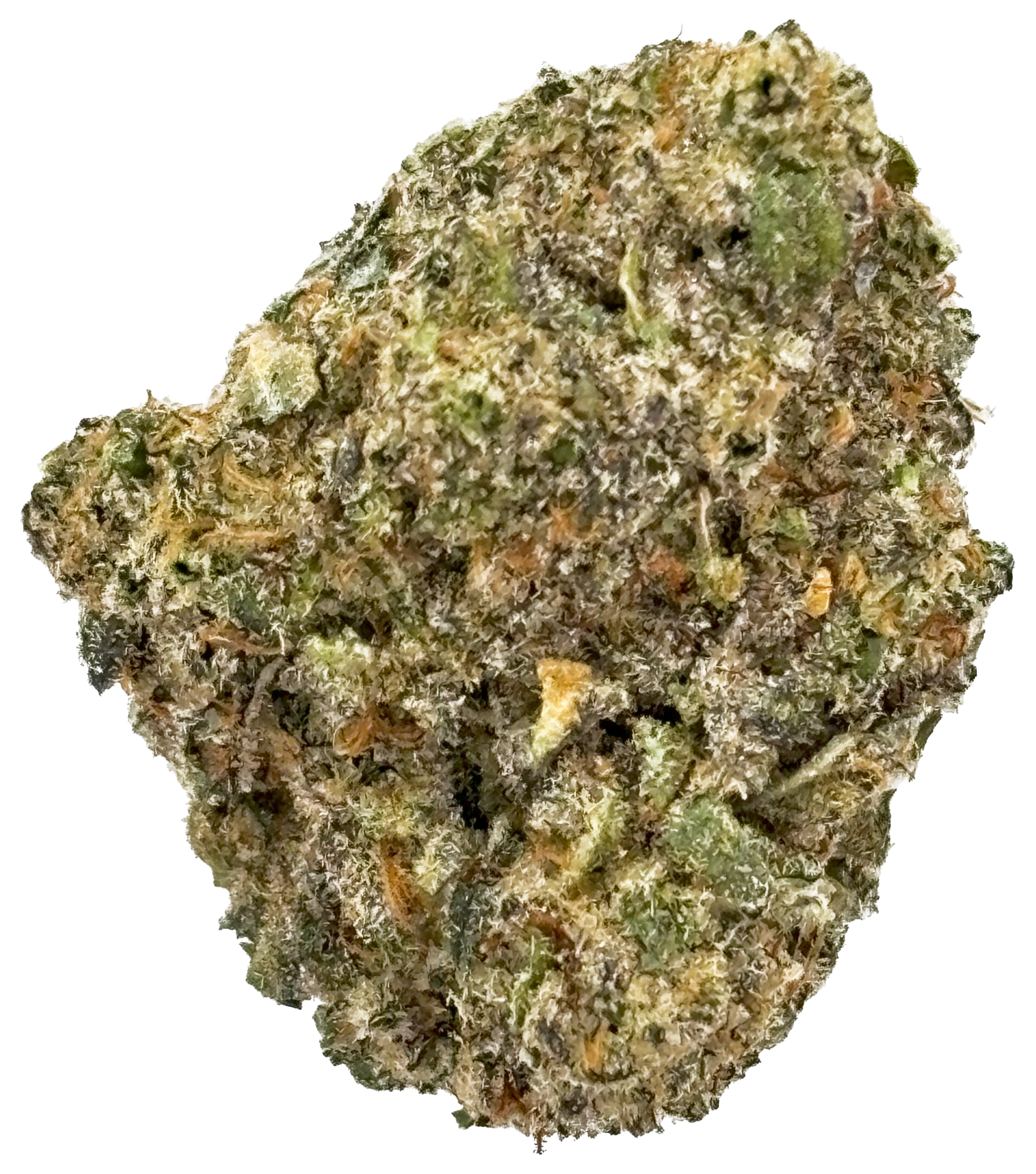 Photograph of product: Glo Farm | Sponge Cake | Pre-Packaged Flower - 14g