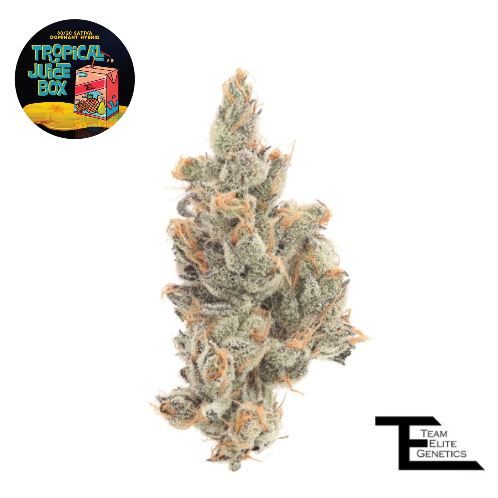 Photograph of product: TROPICAL JUICE BOX - 3.5G