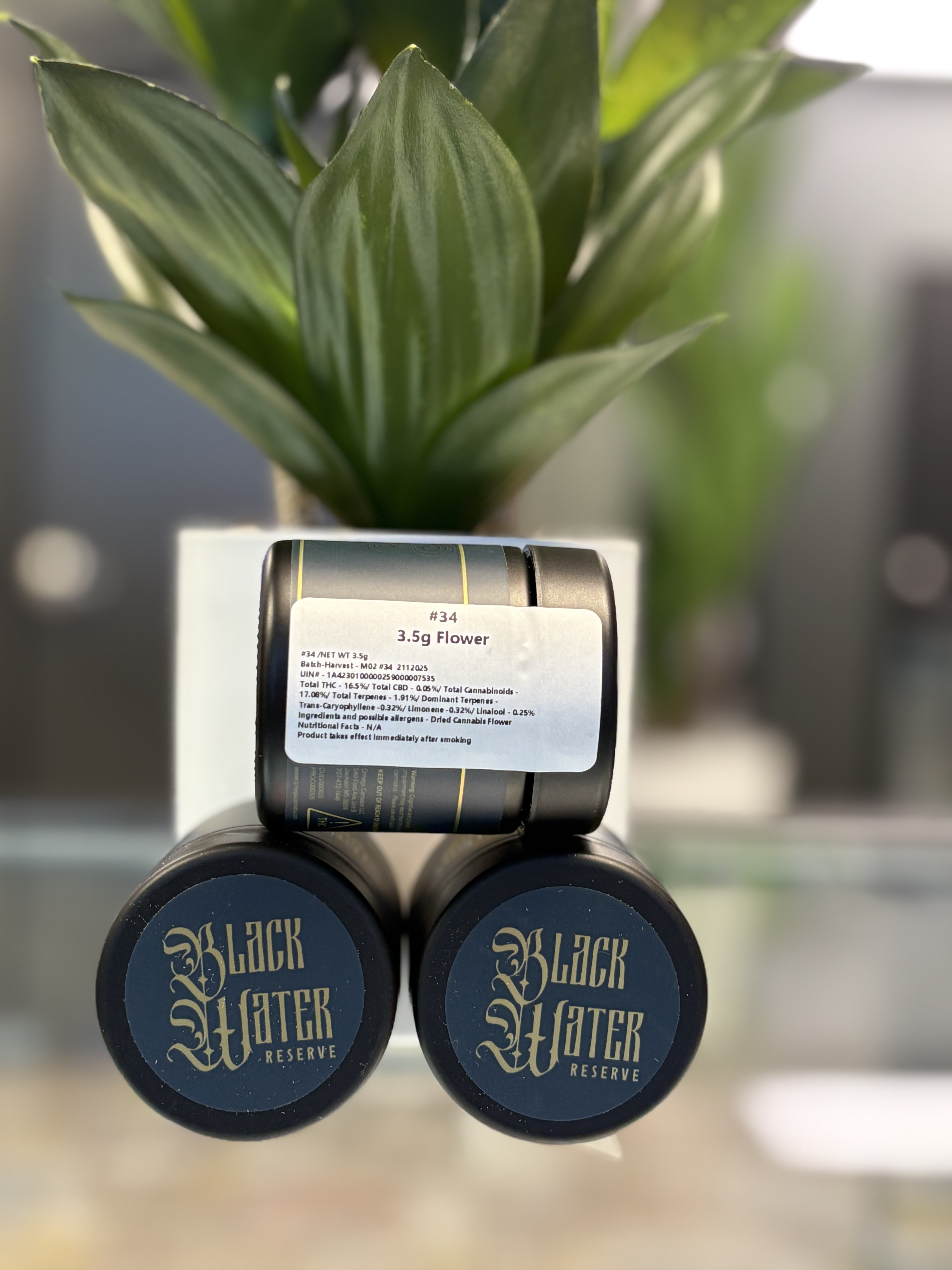 Photograph of product: Black Water | 3.5g | #34