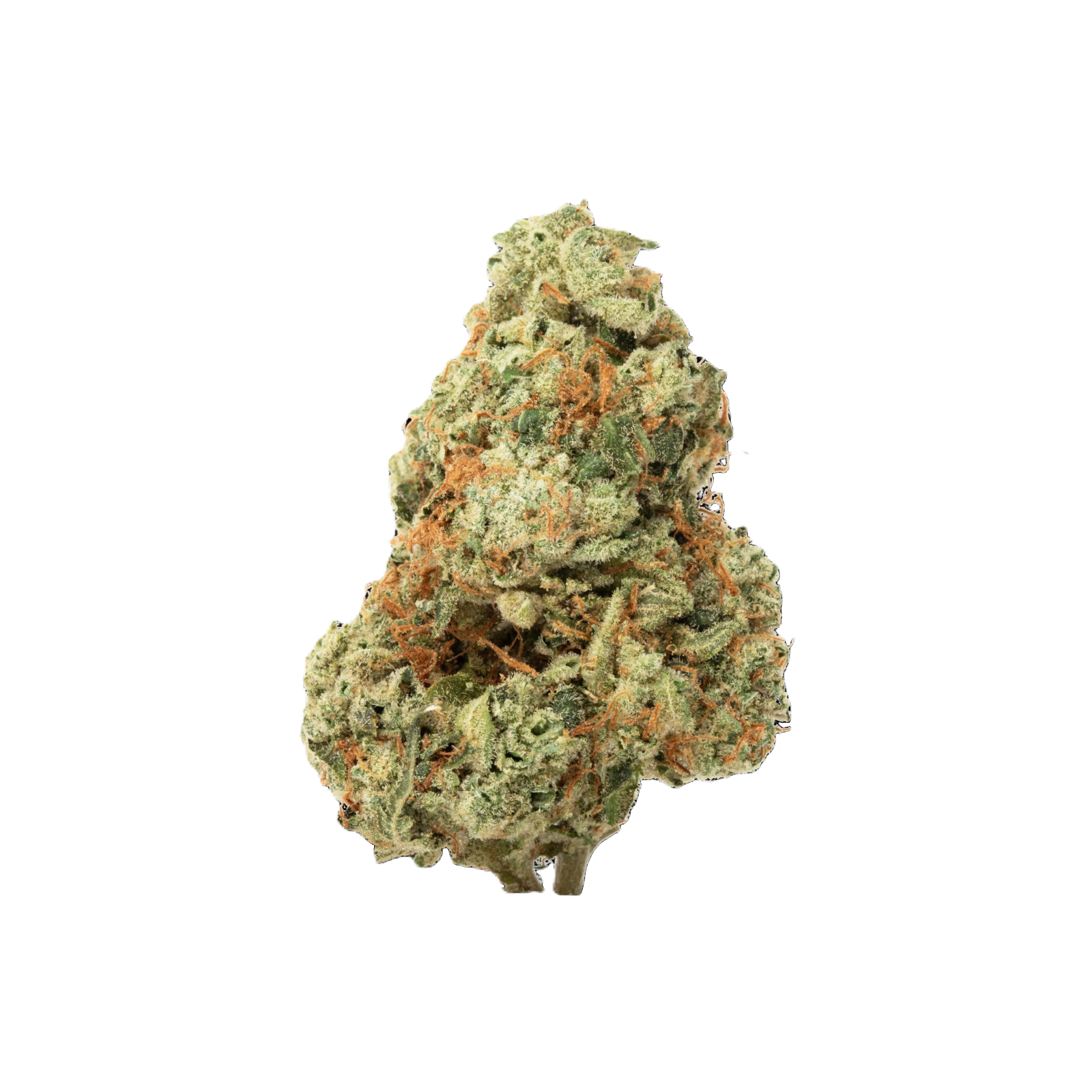 Photograph of product: PRIMO DANKS | RUTHLESS RUNTZ | HYBRID | DELI-FLOWER | REC - 28g