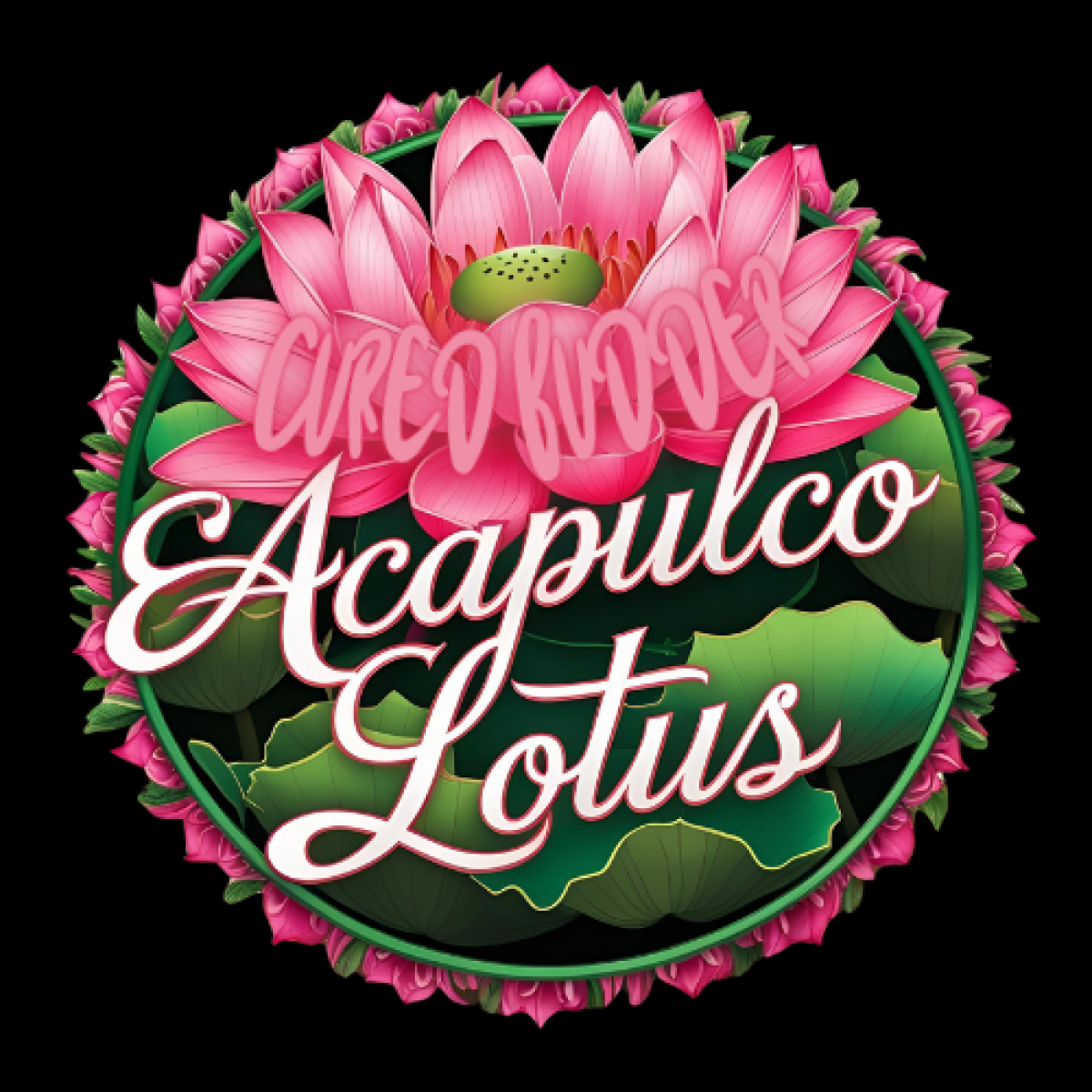 Photograph of product: Acapulco Lotus Cured Badder - Four20