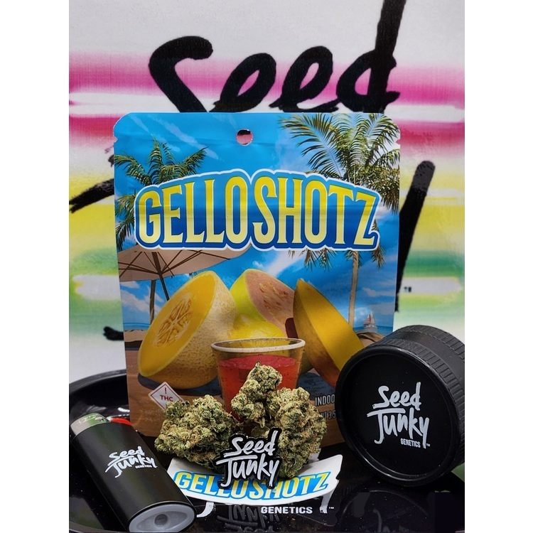 Photograph of product: Seed Junky - Gello Shotz Flower - 3.5g