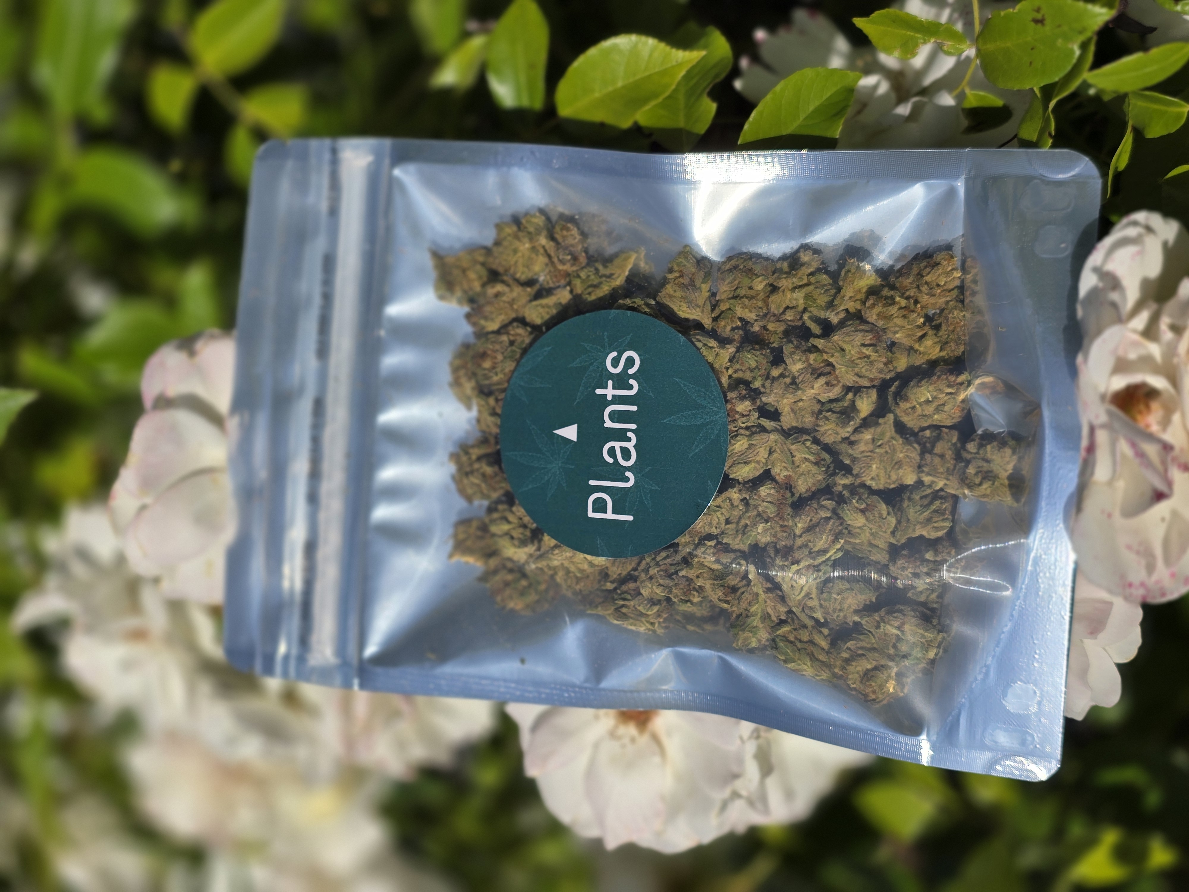 Photograph of product: BACIO SMALLS 28G