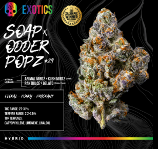 Photograph of product: SOAP X ODDER POPZ 14G BAG - 14 G