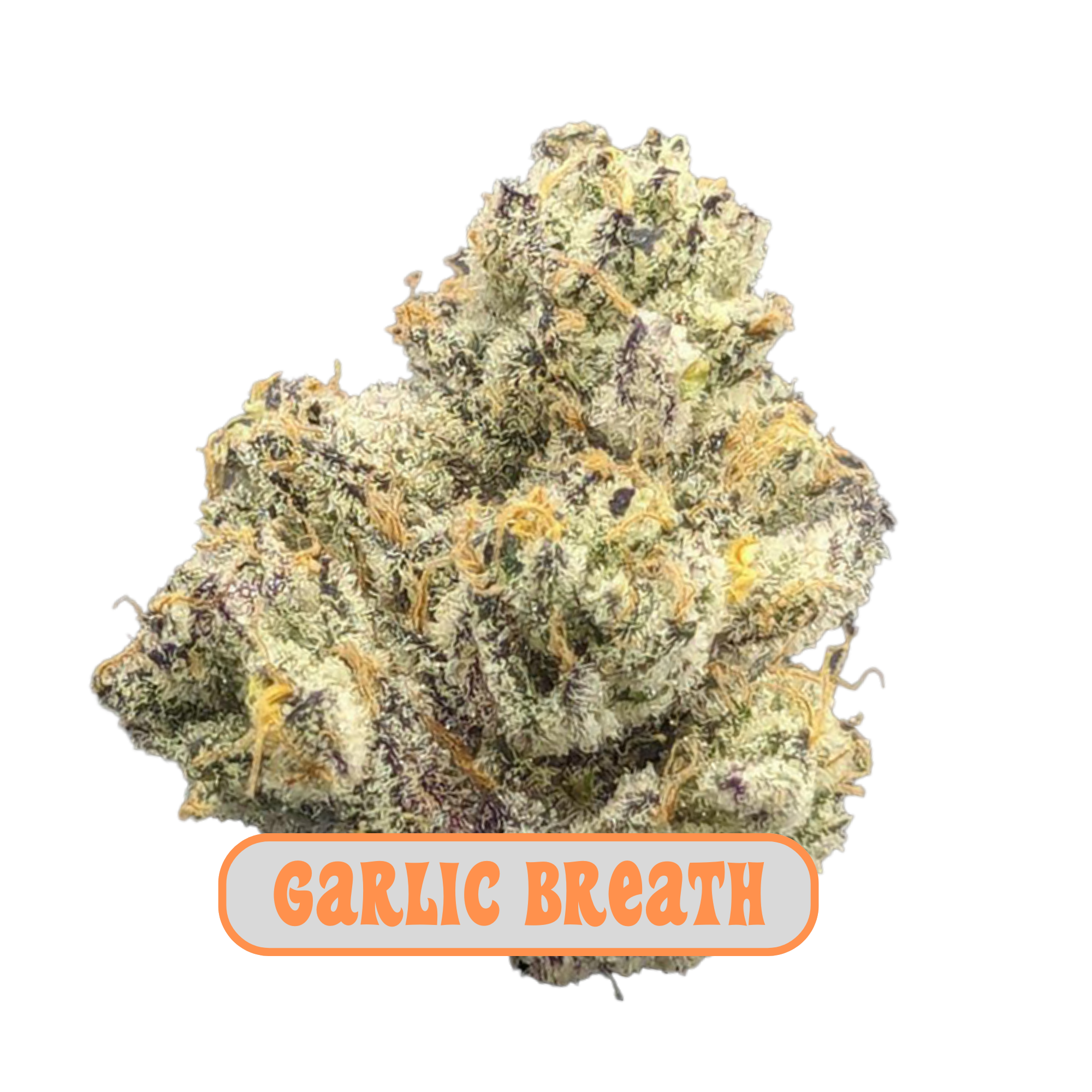 Photograph of product: MPX Garlic Breath Flower - 3.5g