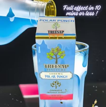 Photograph of product: Treesap Syrup Polar Punch 1000MG