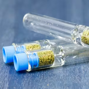 Photograph of product: Agri-Kind Chillum | Cherry Punch | 0.5g (Hybrid)