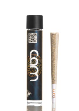 Photograph of product: Cam | Pre-Roll | Guava Gelato