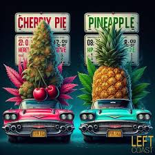 Photograph of product: Pineapple Express / Cherry Pie | Disposable