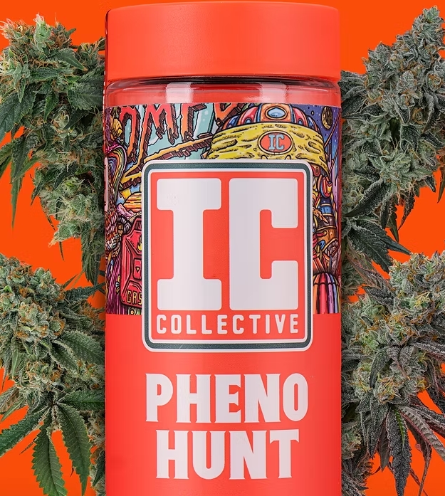 Photograph of product: IC Collective - Flower - Pheno Hunt #888 (H) - 3.5g