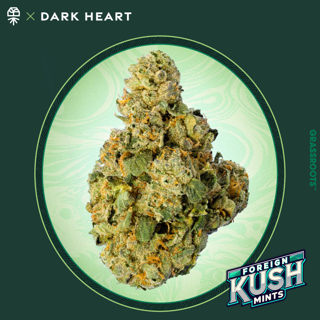 Photograph of Product: Dark Heart Foreign Kush Mints Whole Flower 3.5g