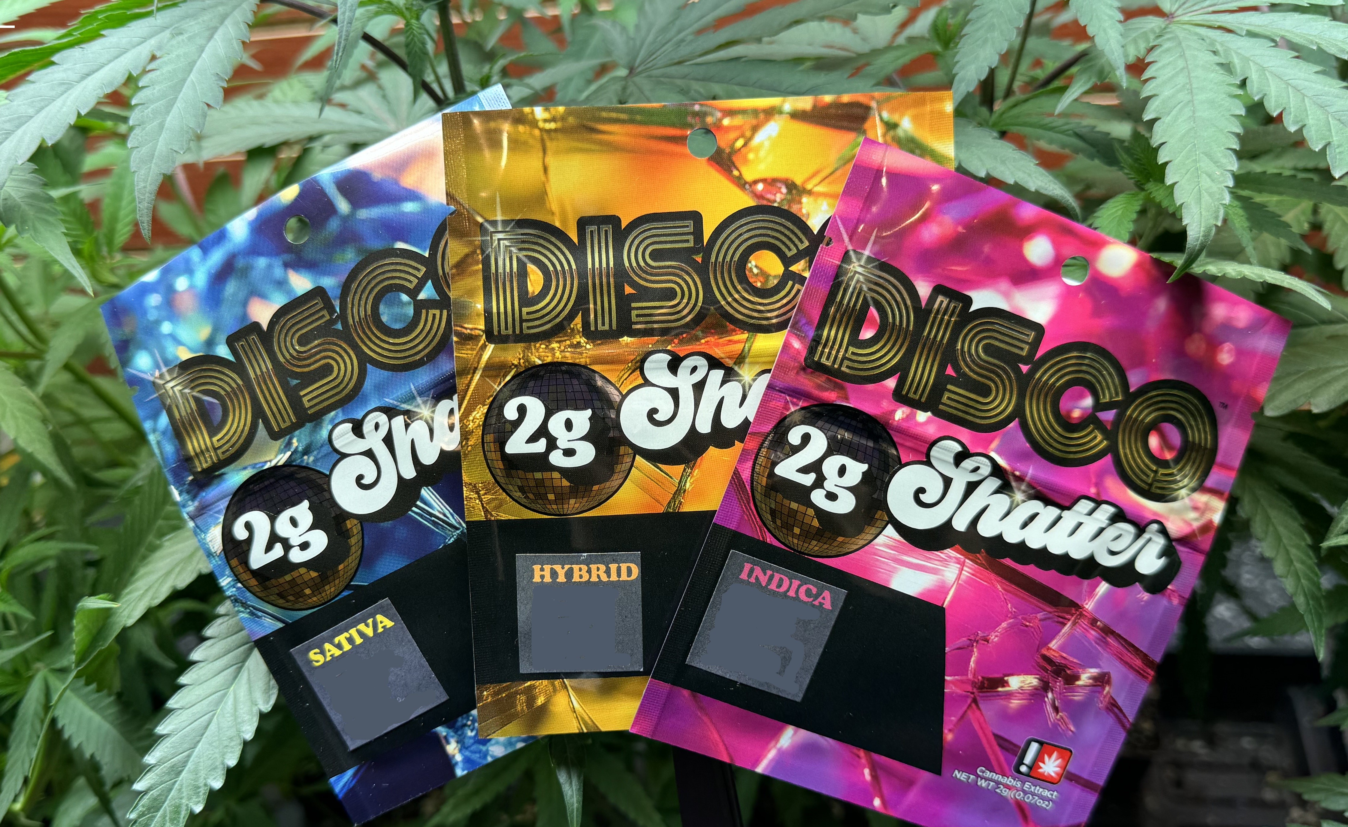 Photograph of product: Cakelatto Shatter (Disco Dabs)