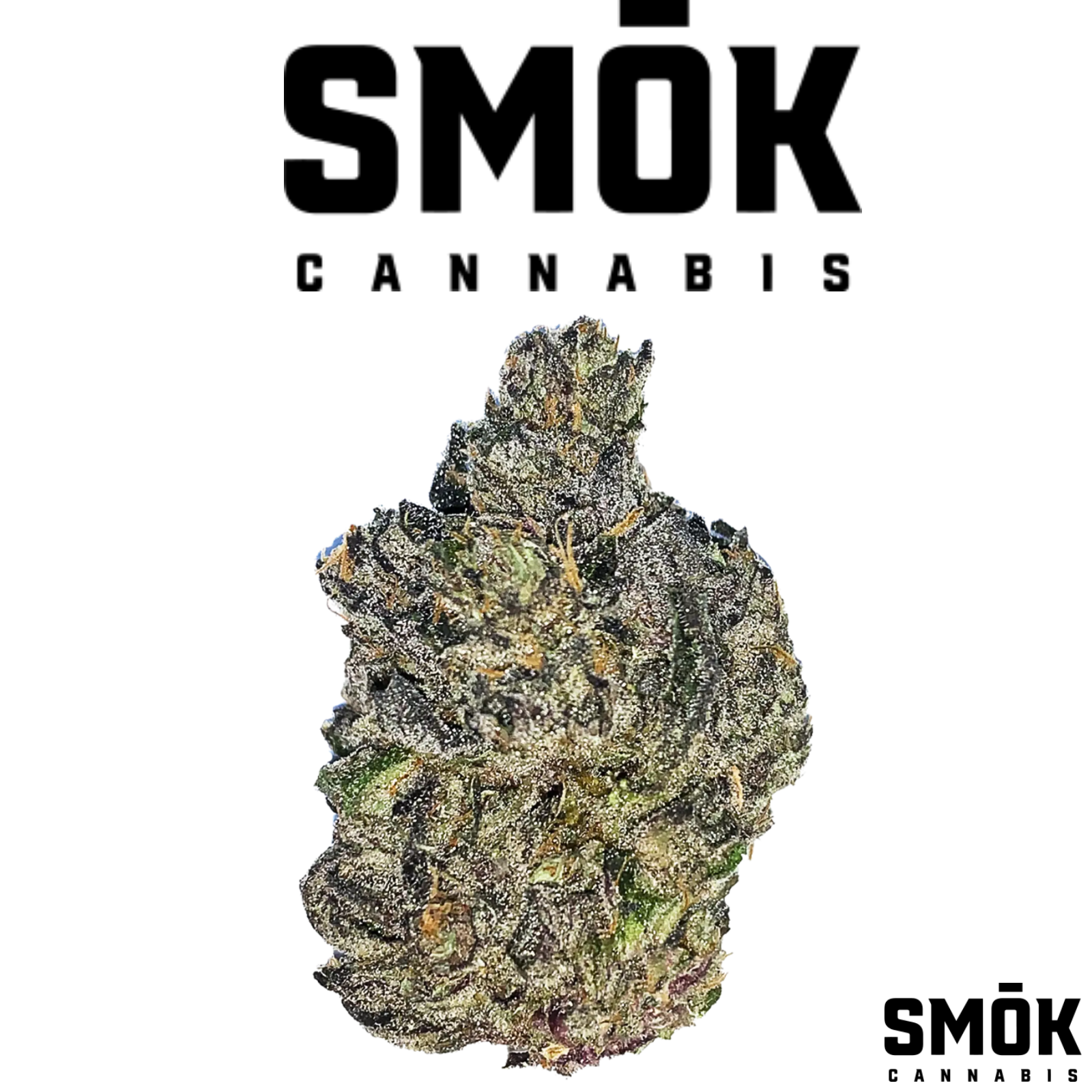 Photograph of product: Gelato 41 Prepacked Flower - 28g