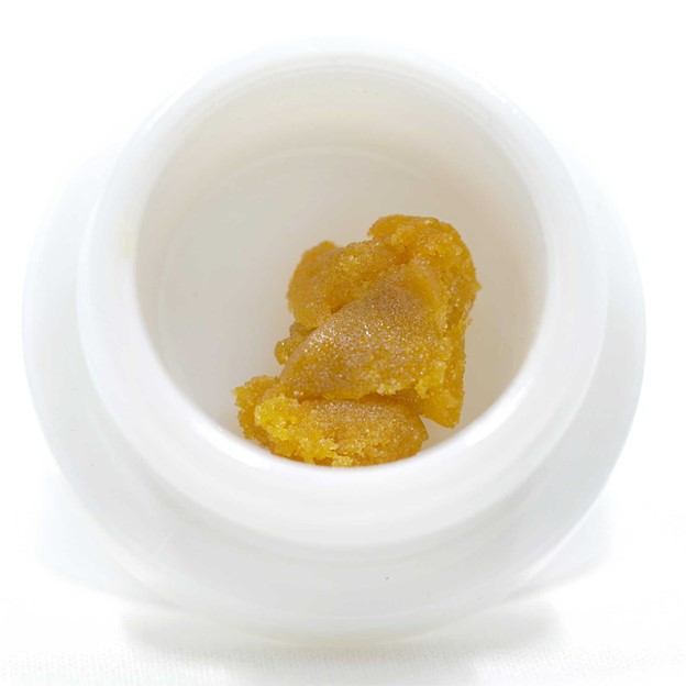 Photograph of product: Cheetah from the North Budder