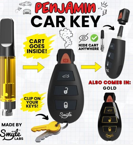 Photograph of product: Penjamin Car Key 510 thread Battery