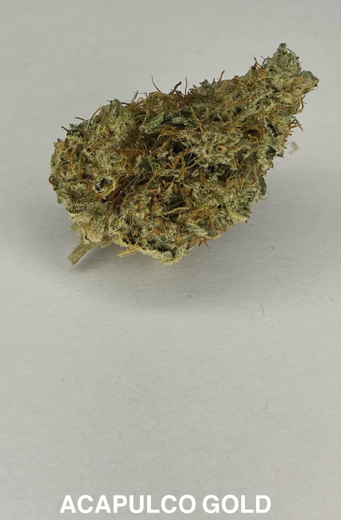 Photograph of product: Acapulco Gold Flower - 28g