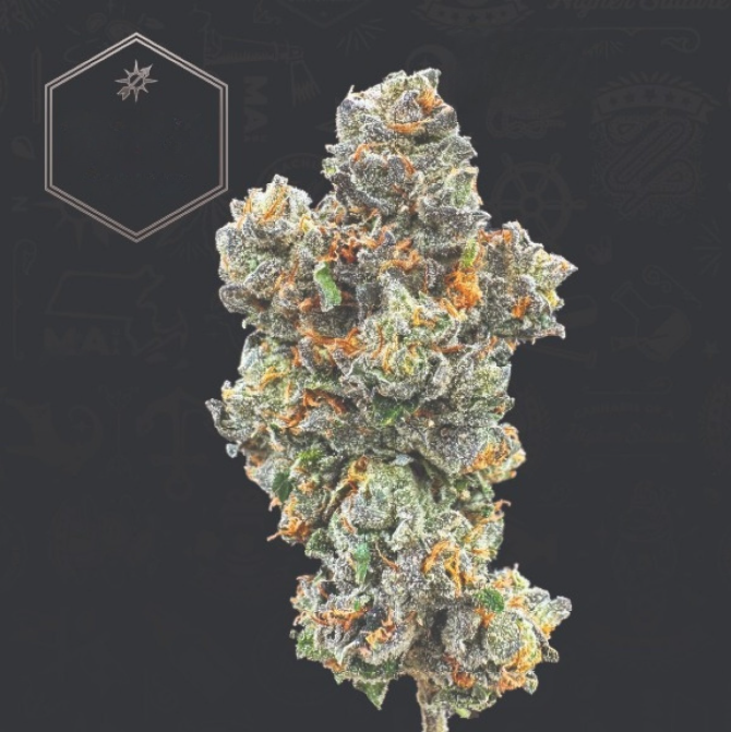 Photograph of product: Canal Street Runtz - 3.5g