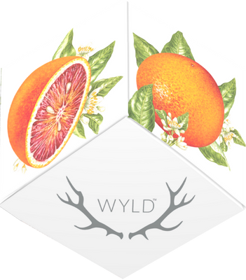 Photograph of product: Wyld - Blood Orange 1:1 CBC (s) - Gummies - 100mg