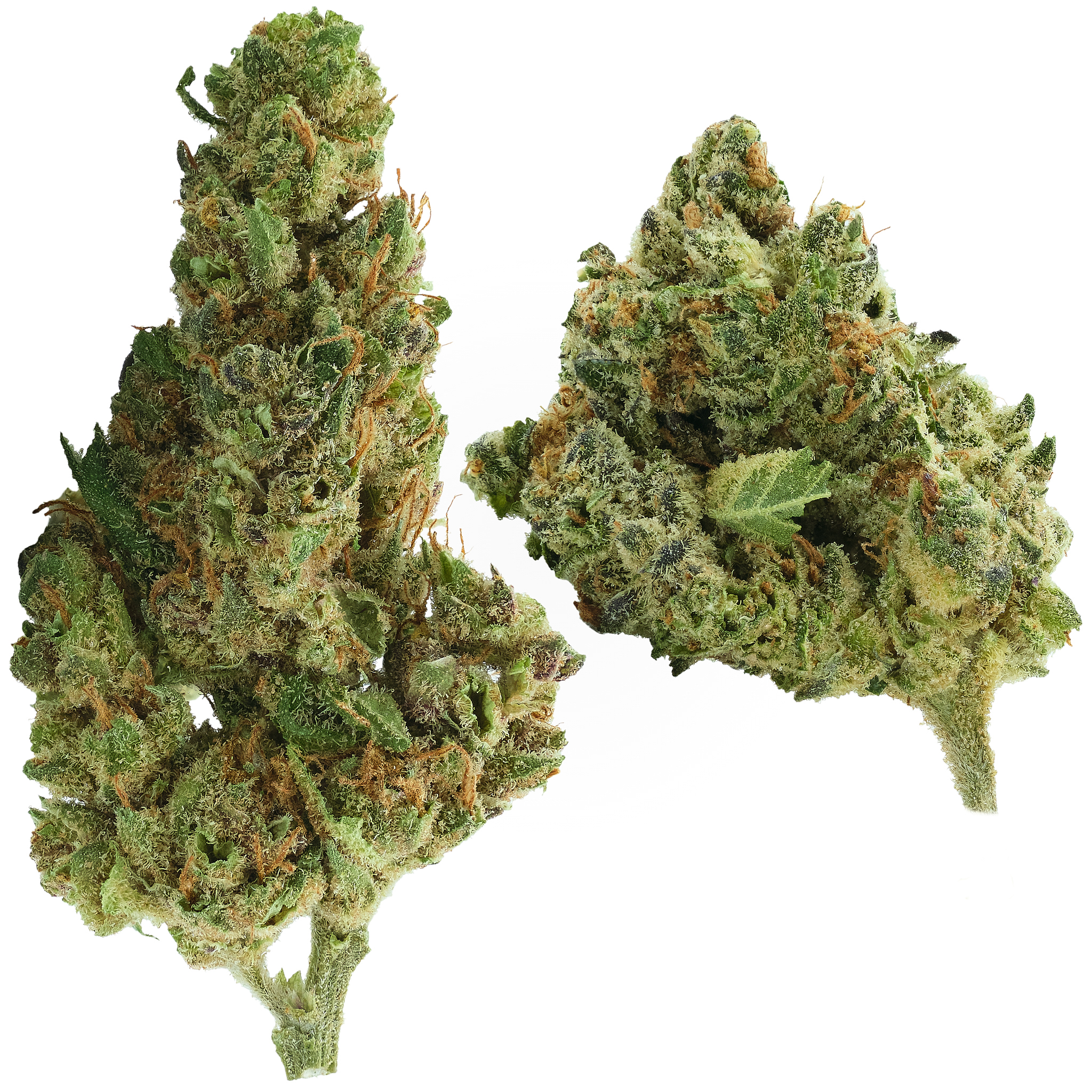 Photograph of product: Pineapple Pez - 28g