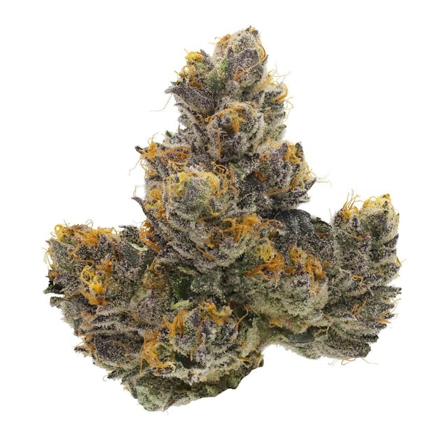 Photograph of product: Couch Rider - 7g