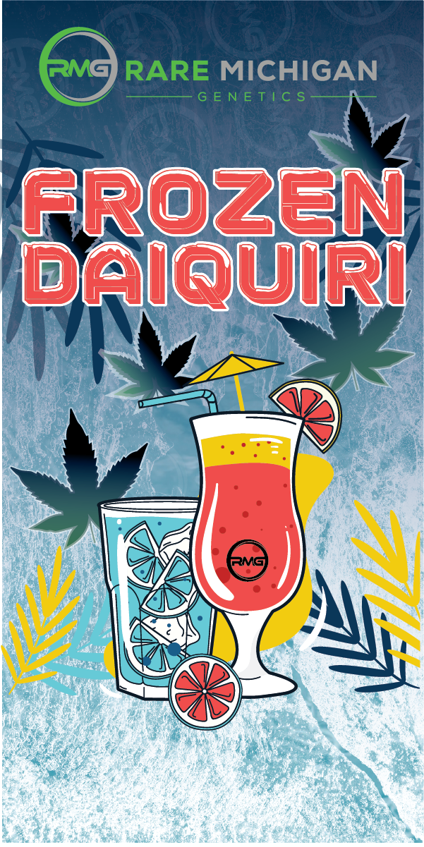 Photograph of product: Rare MI Genetics | Frozen Daiquiri | Flower | 3.5g