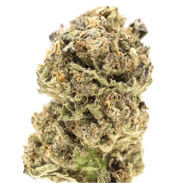 Photograph of product: The Zoap, SG - Eighth