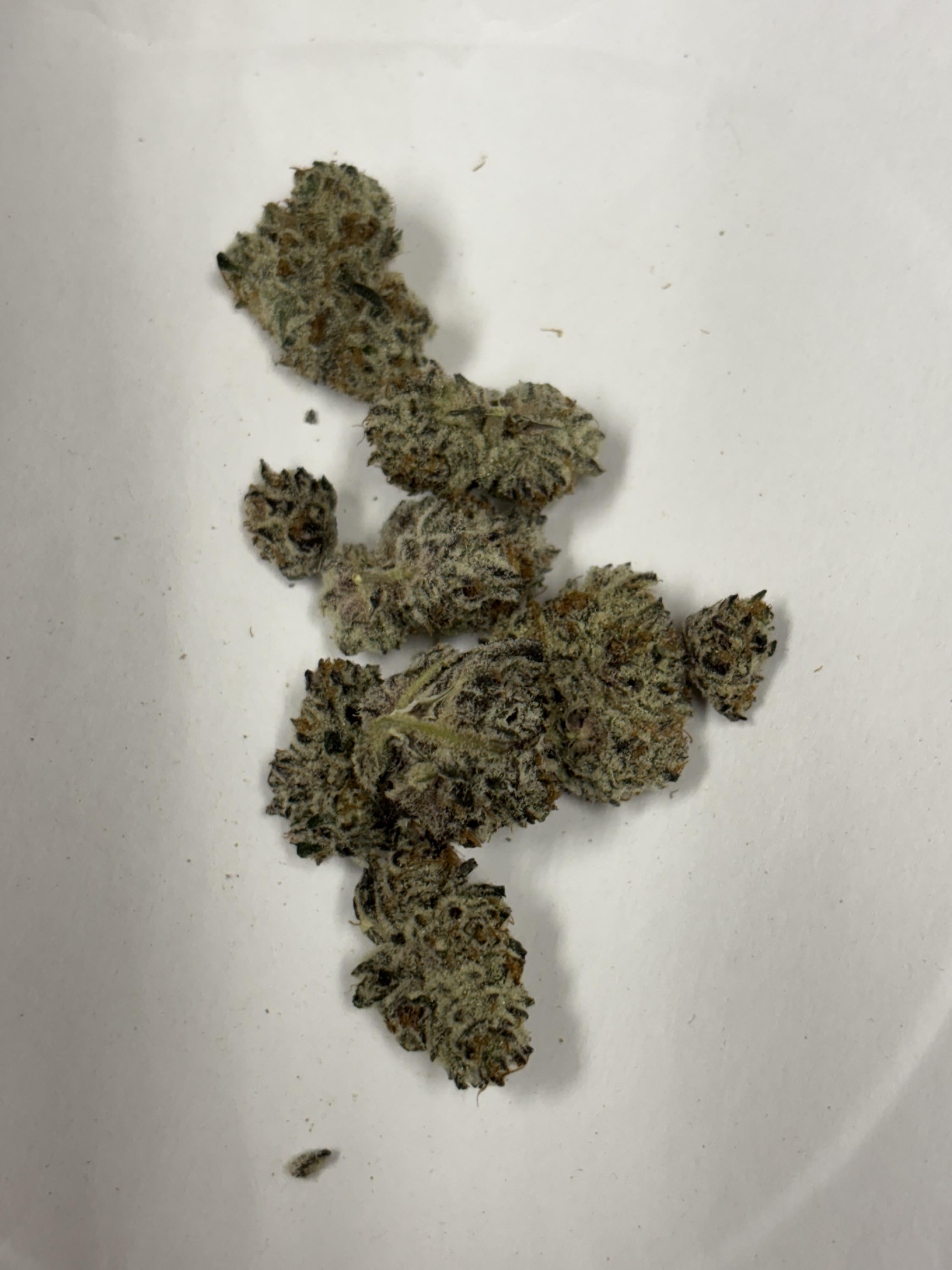 Photograph of product: Mitten Canna Galactic Oreoz - 28g