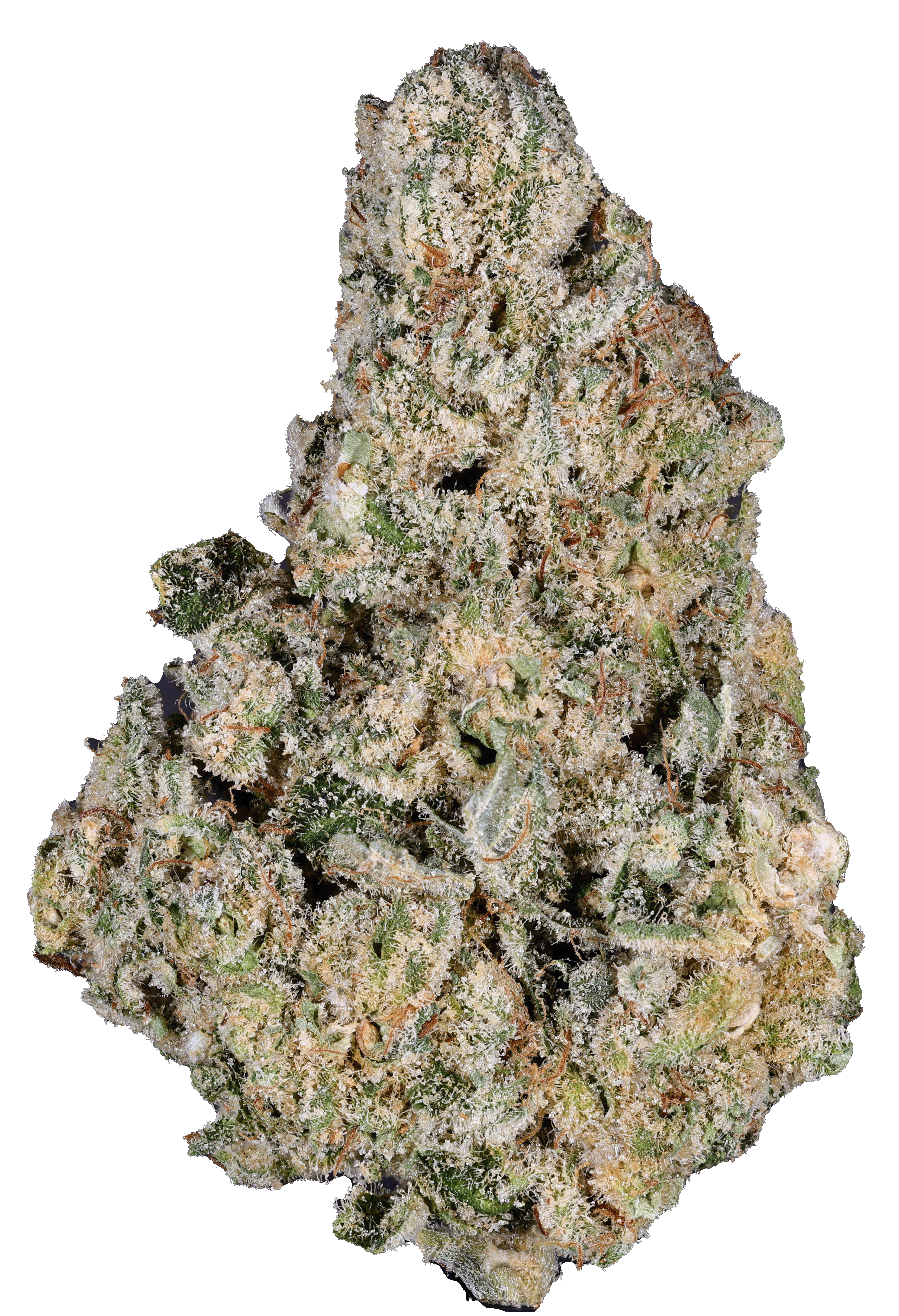 Photograph of product: OG Kush - 14g
