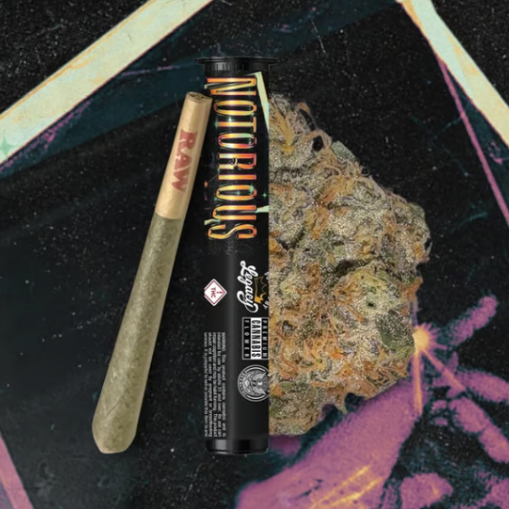 Photograph of product: EVOL | Notorious #1 1pk | 1g